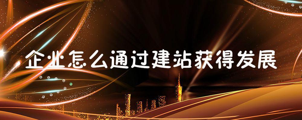 企業(yè)怎么通過建站獲得發(fā)展
